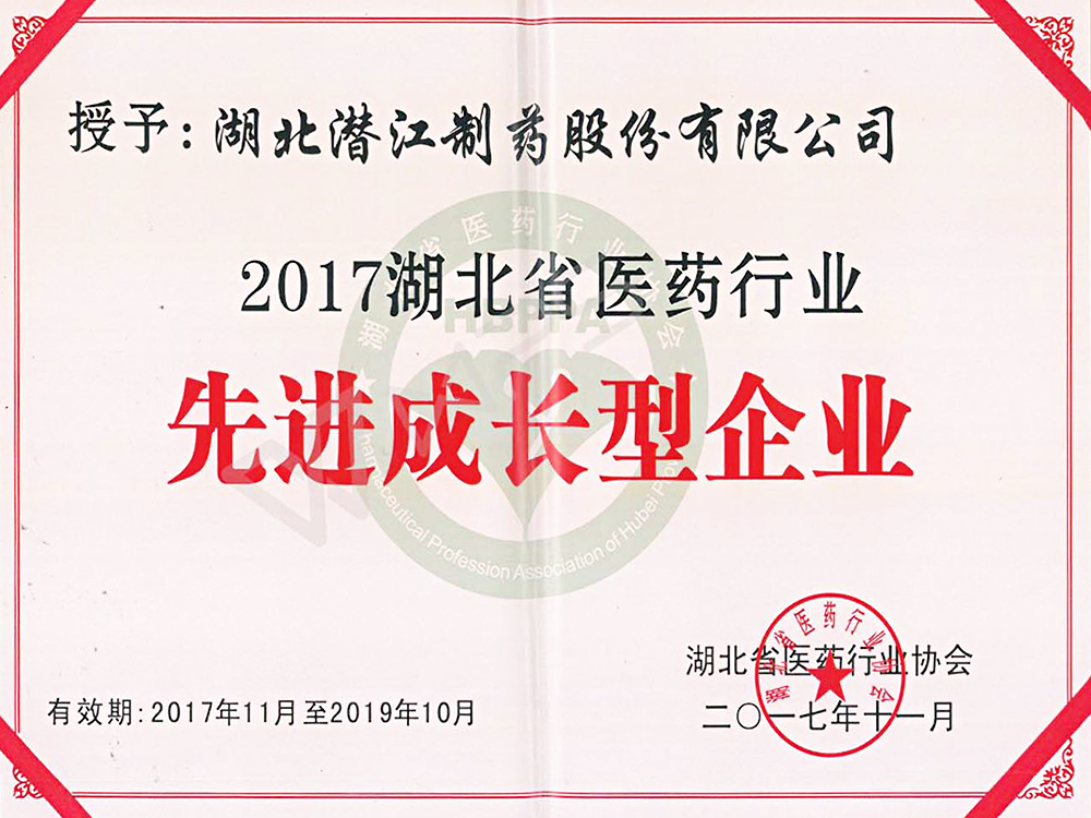 2017湖北省醫(yī)藥行業(yè)先進成長型企業(yè)